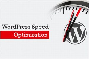 Wordpress Speed Optimization Service 2024 [Latest]