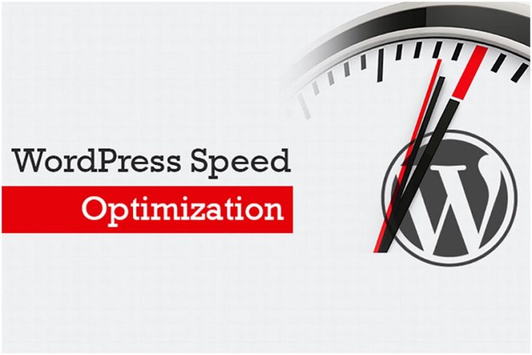 WordPress Speed Optimization Service 2023 [Latest]
