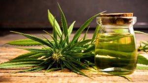 Top 10 Health Benefits of Cannabis [2024]
