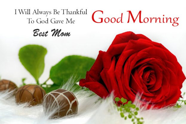 Good Morning Wishes For Mom 2024 With Quotes