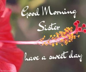 Good Morning Wishes For Sister 2023 With Quotes